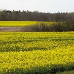 In Zentraler Ruhiger Lage Klatt In 卡珀尔恩