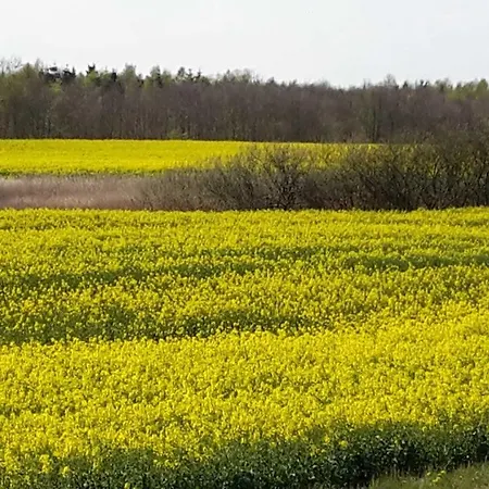In Zentraler Ruhiger Lage Klatt In Kappeln